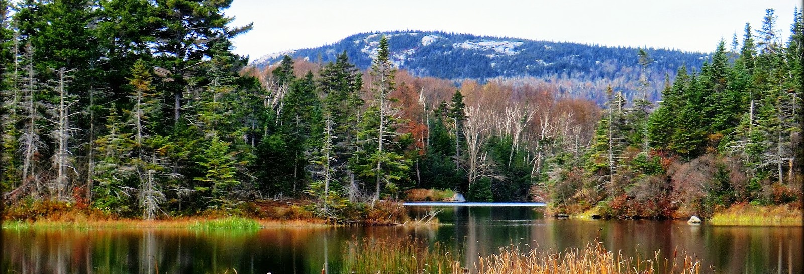 Benton, NH Places to Live Alpine Lakes Real Estate